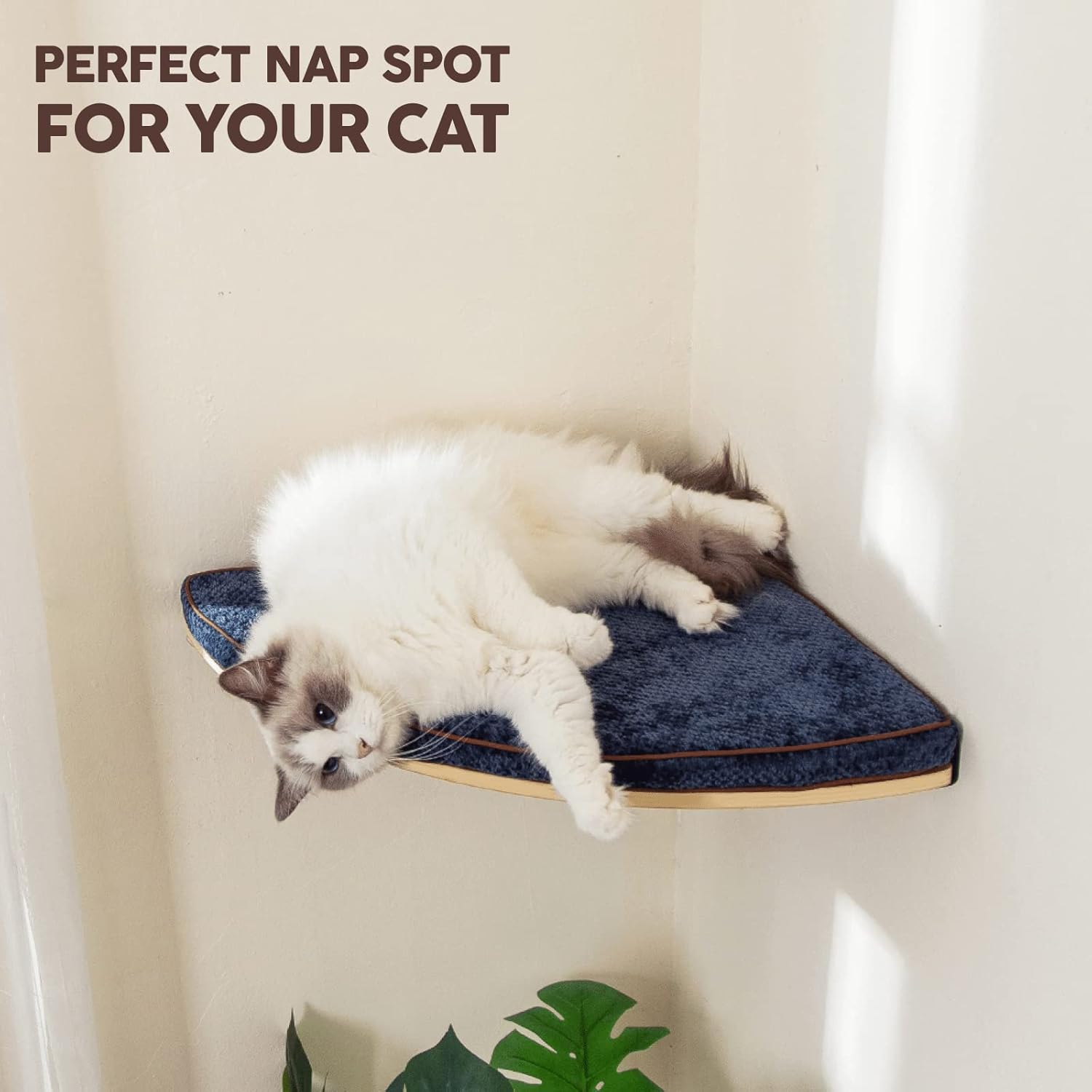 LIORCE Wall Mounted Corner Cat Bed - Cat Shelf with Comfortable Cushion - Minimalistic Cats Furniture for Indoor Cats - Climbing Perch for Wall