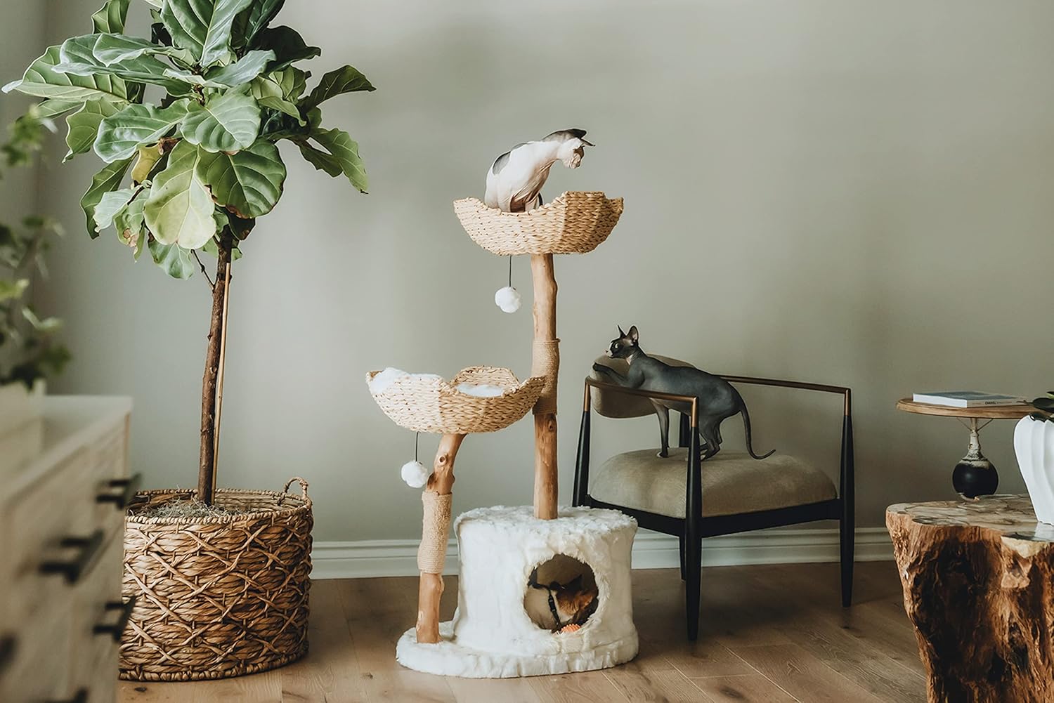 Rattan, Wicker, and Real Sisal: The Natural-Material Cat Trees That Actually Hold Up